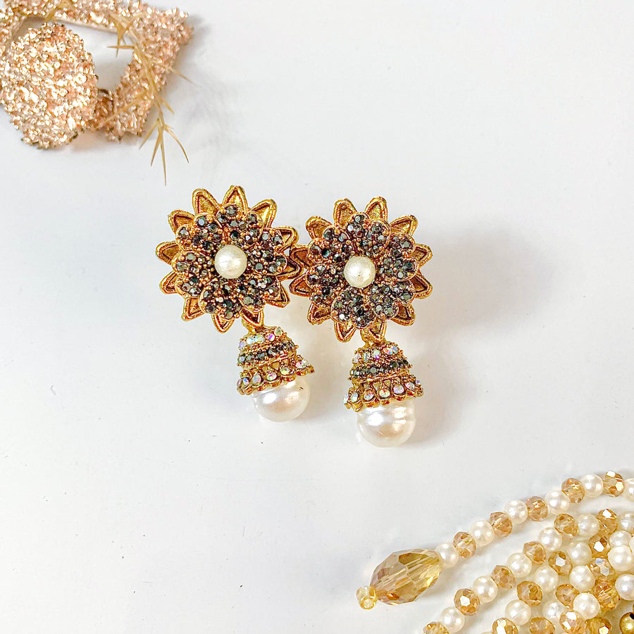 Aarzoo Earrings - (ER-130)