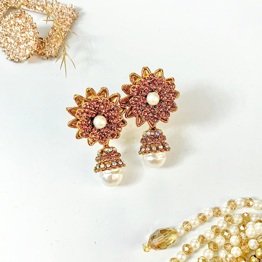 Aarzoo Earrings - (ER-130)