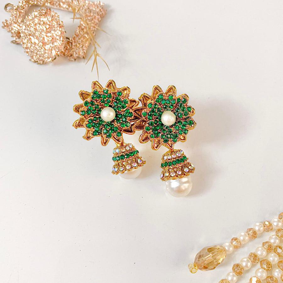 Aarzoo Earrings - (ER-130)