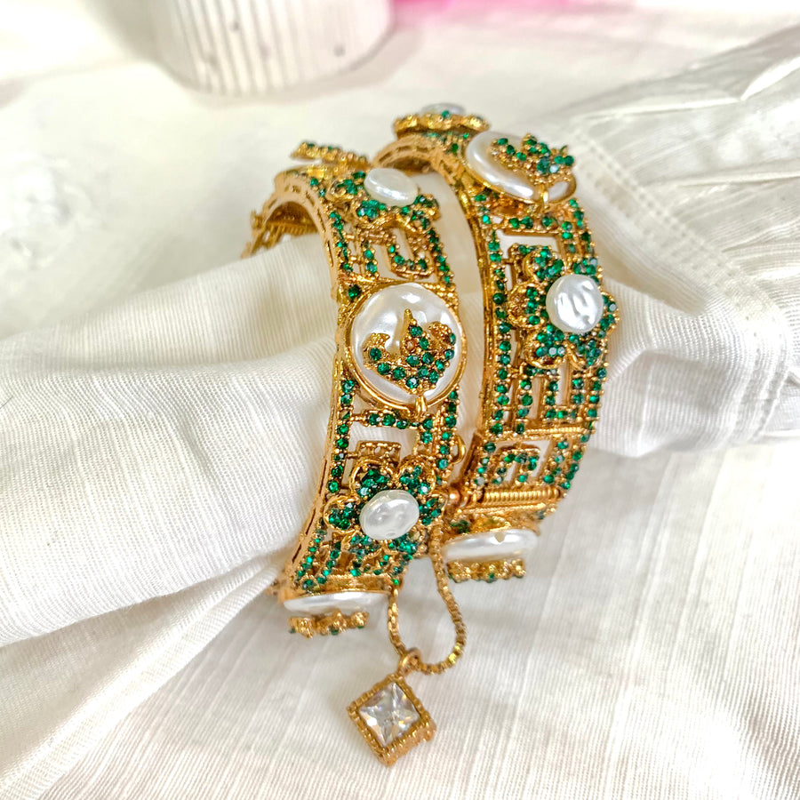 Tahzeeb Bangles | BN-61
