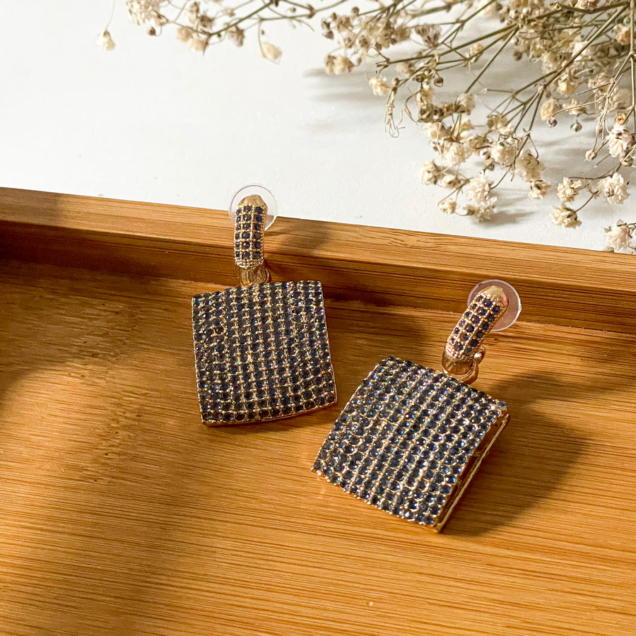 Zarshine Earrings – ER-100