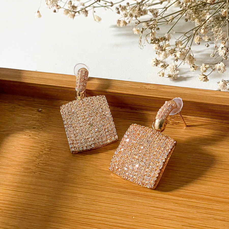 Zarshine Earrings – ER-100